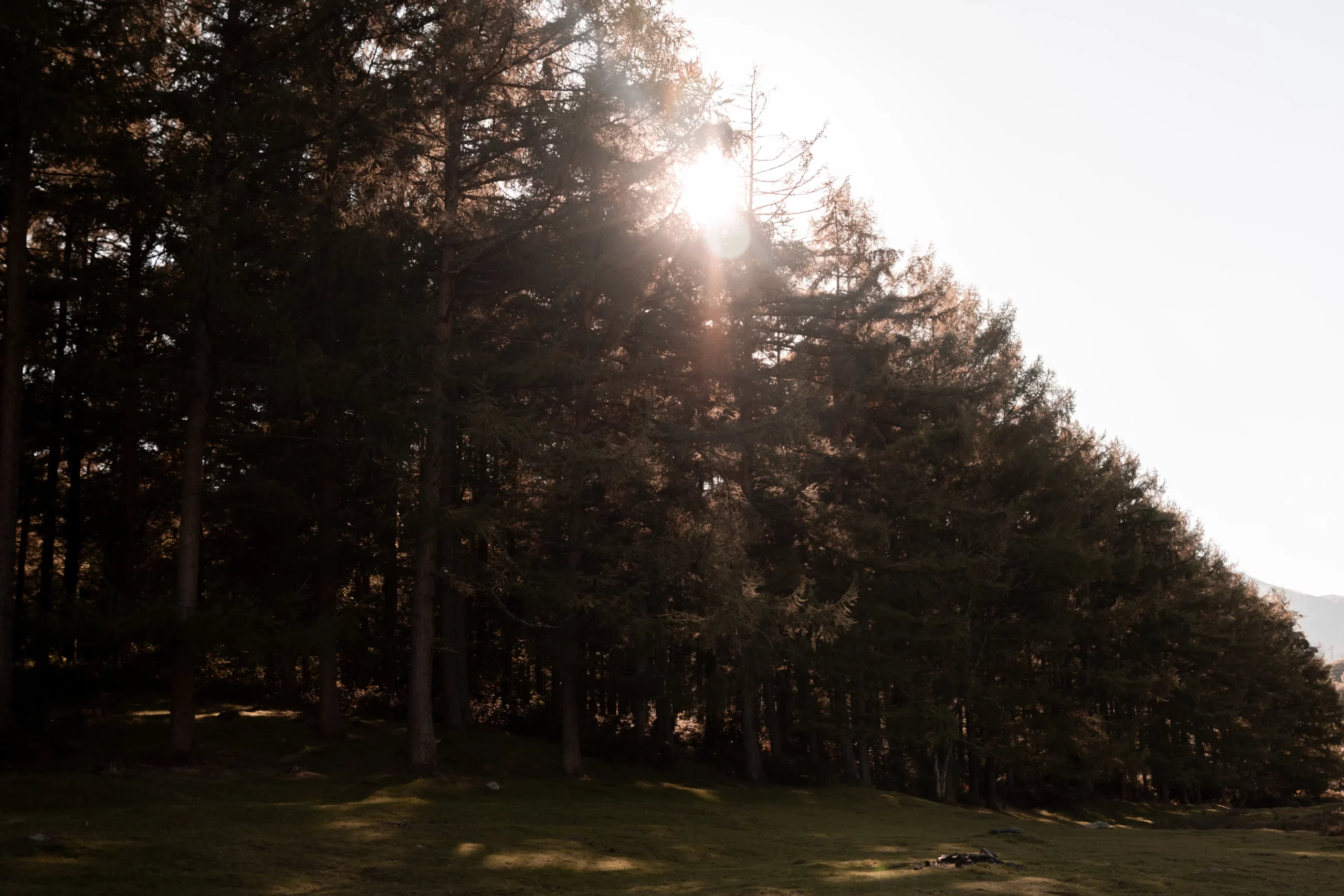 Une séance grossesse dans les Pyrénées proche de Pau